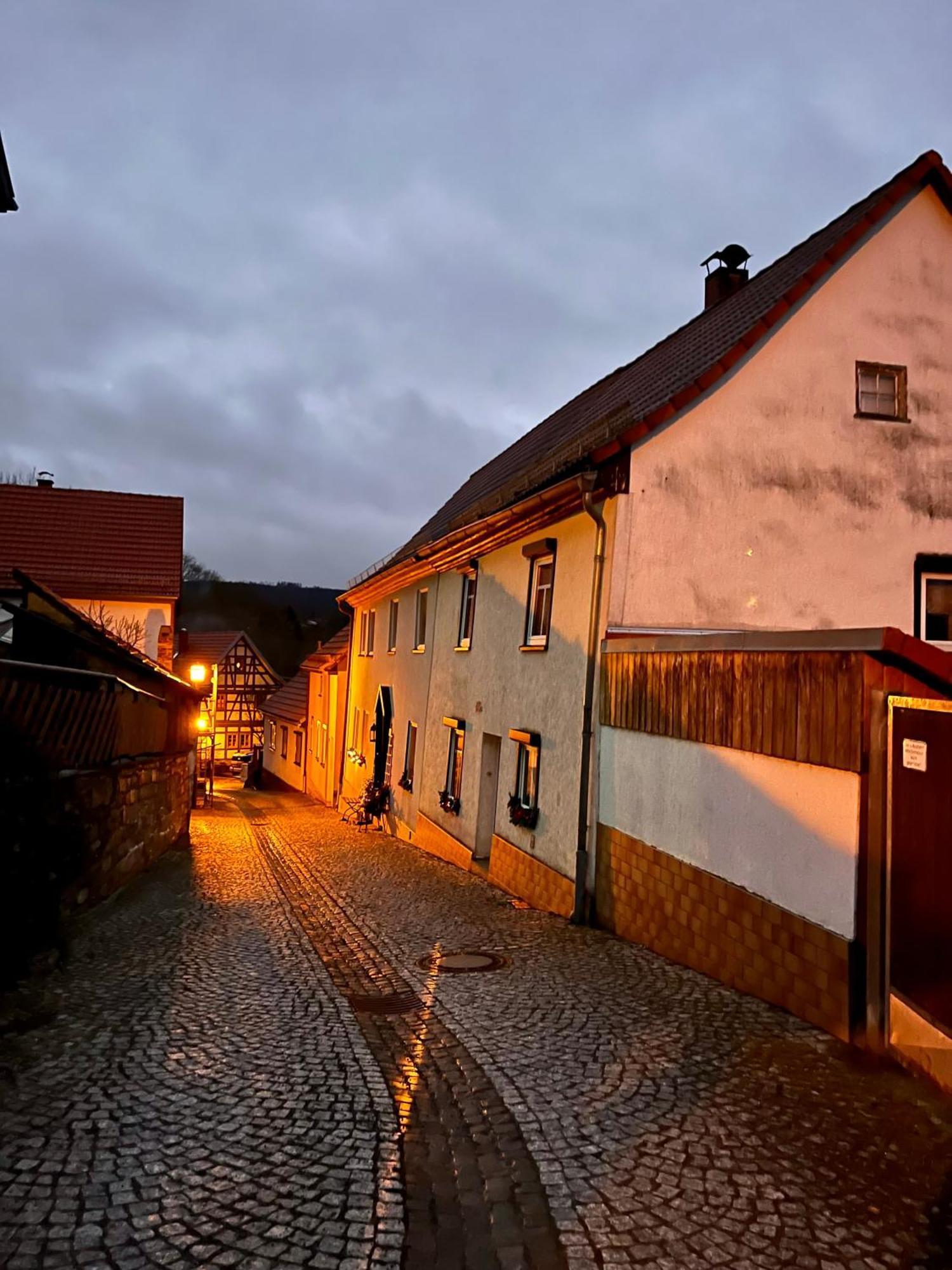Delux Ferienwohnung Kunstgalerie Und Ilmradweg Kranichfeld Exterior photo
